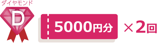 ダイヤモンド会員様 5000円分×2回