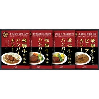 松阪牛・近江牛・飛騨牛仕込みハンバーグ＆カレー詰合せ HBK-28