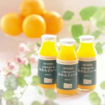 【お歳暮限定】自然のめぐみみかんジュース（６本）