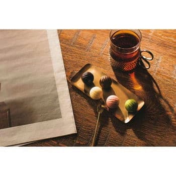 CACAOCAT缶　ミックス8個入り　CHRISTMAS