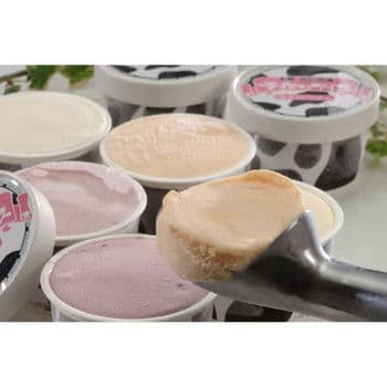 十勝白い牧場アイス（10個入）