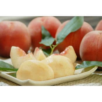 ■山梨　かのいわ中央共選所　山梨の桃