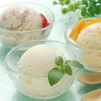 ヤスダヨーグルトフローズンギフト（9個入）