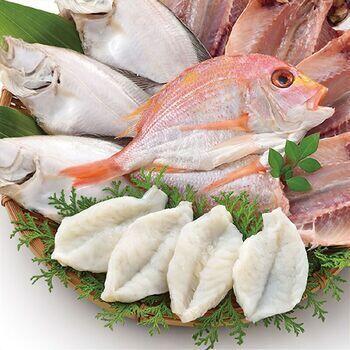 真ふぐ一汐と干物セット