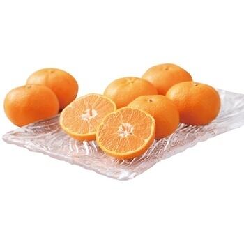 愛媛県産 みかん約2kg