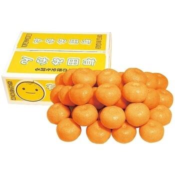 和歌山県産 有田みかん約5kg