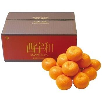 愛媛県産 みかん約3kg