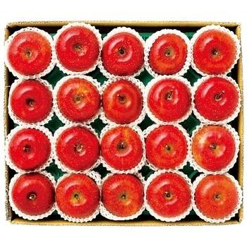 長野県産 信州サンふじ 約4.8kg