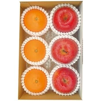 愛媛県産 紅まどんな＆青森県産 蜜入りサンふじ