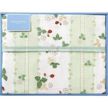 綿毛布（毛羽部分）