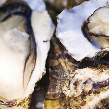 広島牡蠣のカンカン焼き