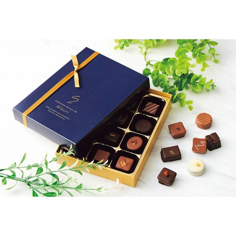 紙袋付】ショコラ・ダムール・ドゥ・ミクニ 美食ショコラ（12個入