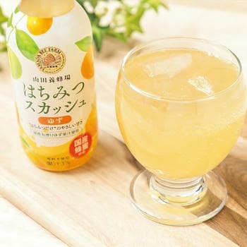 国産はちみつスカッシュ（10本入）