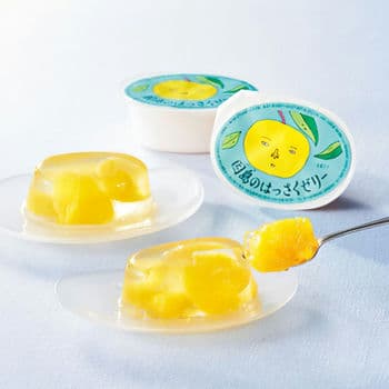 はっさくゼリー（12個入）