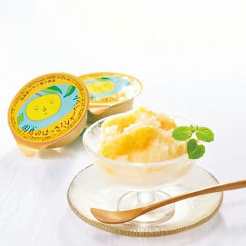 はっさくシャーベット（12個入）