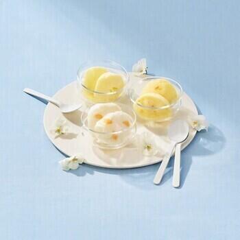 日本の柑橘シャーベット（9個入）