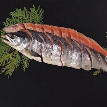 北海道産新巻鮭姿切身（1.4kg）