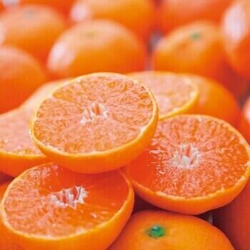 愛媛県西宇和産温州みかん（3kg）