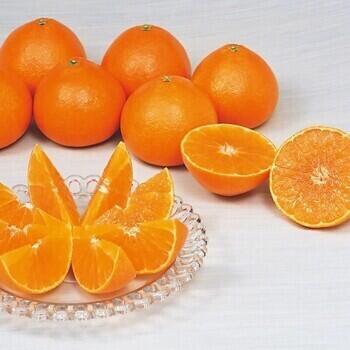 愛媛県産紅まどんな秀品（3kg）