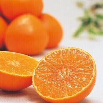 愛媛県産夢まどんな（2kg）（愛媛果試28号）