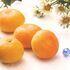 ギフト商品サムネイルギャラリー：愛媛県産日の丸みかん（2kg）メイン画像
