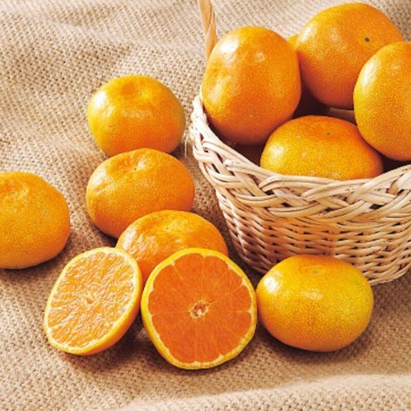 みかん・りんごセット | グルメのギフト通販 | ギフタ