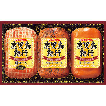 鹿児島紀行 H－360S