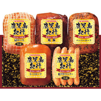 鹿児島紀行 H－535S