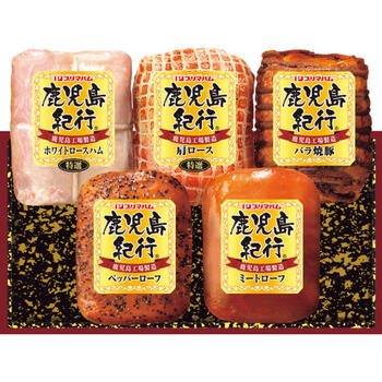 鹿児島紀行 H－720S