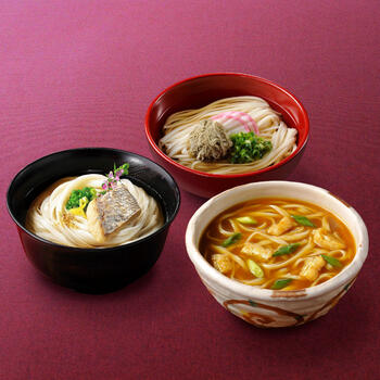 具材で楽しむ手延三輪うどん詰合せ（5食入）