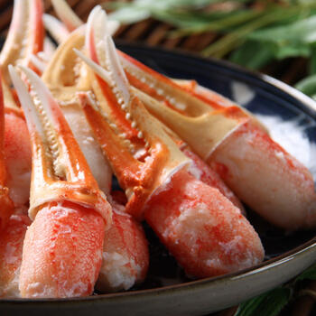 北海道 ボイルずわいがに爪