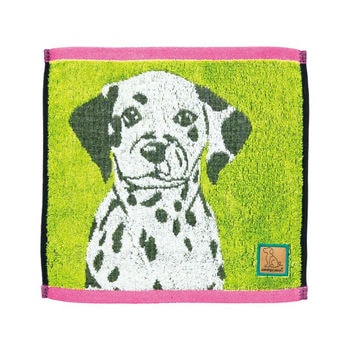 ラブアイズ キャリータオル