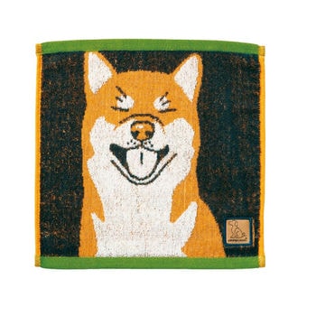 ラブアイズ キャリータオル