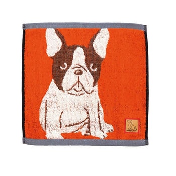 ラブアイズ キャリータオル