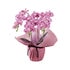 ギフト商品サムネイルギャラリー：ミニ胡蝶蘭三本立ち（アーティフィシャルフラワー）サムネイル画像1
