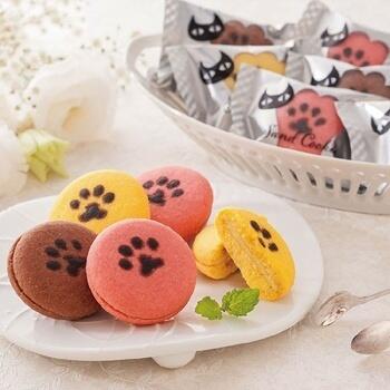 イーペルの猫祭りサンドクッキー（15個）