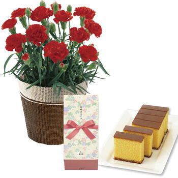 【生花】カーネーションレッド4号&長崎かすてらセット