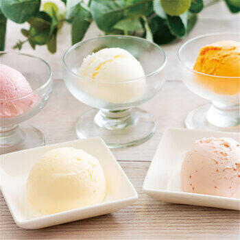 北海道アイスクリーム（5個）