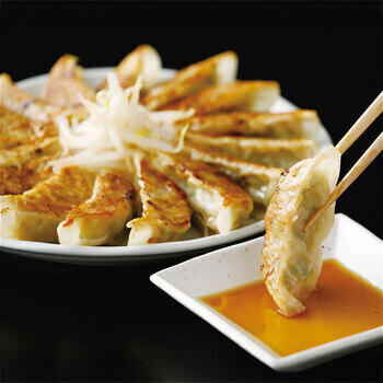 特選はままつ餃子（45個）