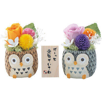 しあわせふくろう2色セット（プリザーブドフラワー）