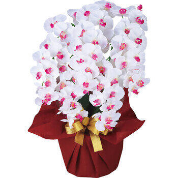 アーティフィシャルフラワー大輪5本立胡蝶蘭（ホワイトビューティー）