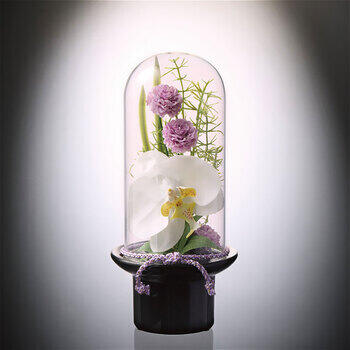 プリマガラスドーム供花胡蝶蘭（造花）