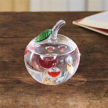 ガラスフロート温度計りんご