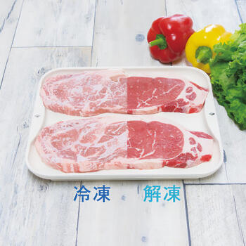 解凍皿NEWクイッ君