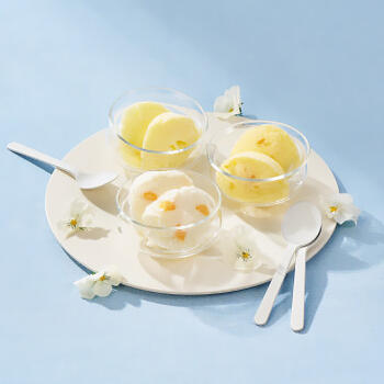 日本の柑橘シャーベット（9個入）