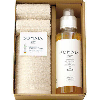 洗濯用液体石けんとタオルのセット（4点セット）