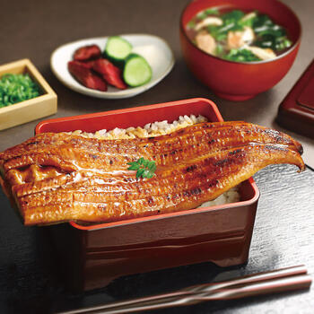 特大国産うなぎ蒲焼（長焼）600g（2尾入）