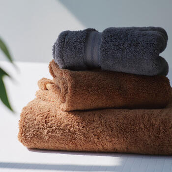 テディアッシュもふもふタッチバス・ハンドタオル各1枚セット