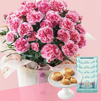 【生花】バタースティックッキーとカーネーション鉢植ティーパーティ5号セット