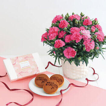 【生花】カーネーション鉢植え「ホットハート」5号＆徳島なると金時のどら焼き